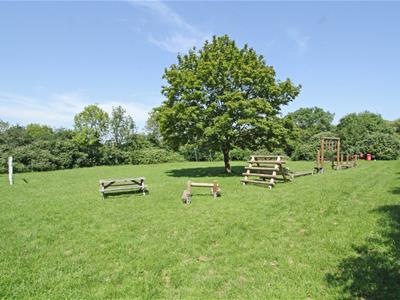 Picture 22